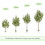 MCC (100CM) Artificial Olive Tree with Plastic Planter & Moss 5