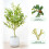 MCC (100CM) Artificial Olive Tree with Plastic Planter & Moss 6