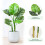MCC (120CM) Artificial Monstera Tree with Plastic Planter&Moss 6