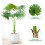 MCC (100CM) Artificial Fan Palm  with Plastic Planter and Moss 7
