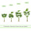 MCC (100CM) Artificial Fan Palm  with Plastic Planter and Moss 8