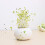DIY Mini Ceramic Cactus Grass Potted Plant Desktop Office Decor 2