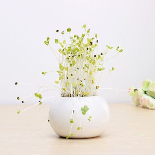 DIY Mini Ceramic Cactus Grass Potted Plant Desktop Office Decor 1
