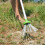 Spider Catcher Removes Critter Bug Gun Animal Repeller Humane Friendly Insect Bug Trap Tool 4