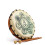 Shamanic Drums Chakra 25cm Shamanic Drum with Sticks 1