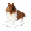 Douglas Douglas Whispy Sheltie Dog Shetland Sheepdog   e???d??a ?e  ?st? ??? 2
