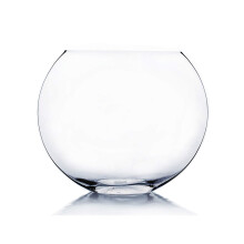 WGV Moon Vase 12"""" x 4.5""""W 10"""" H Clear Glass Floral Container wit