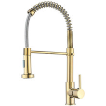 Kitchen Faucet Extendable Spring Mixer EU Single Handle Sink Cold and Hot Available 2 Spray Modes Gold