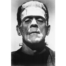 Poster del film Frankenstein (primo piano di Boris Karloff) - 24x36