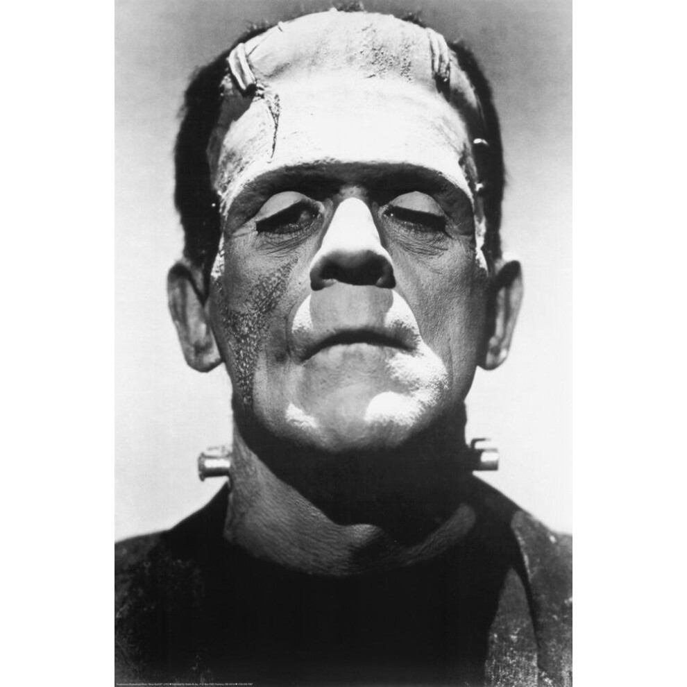 Frankenstein Movie (Boris Karloff  CloseUp) Poster Print  24x36
