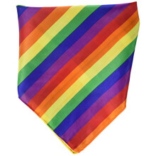 Rainbow bandana