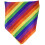 Rainbow bandana 1