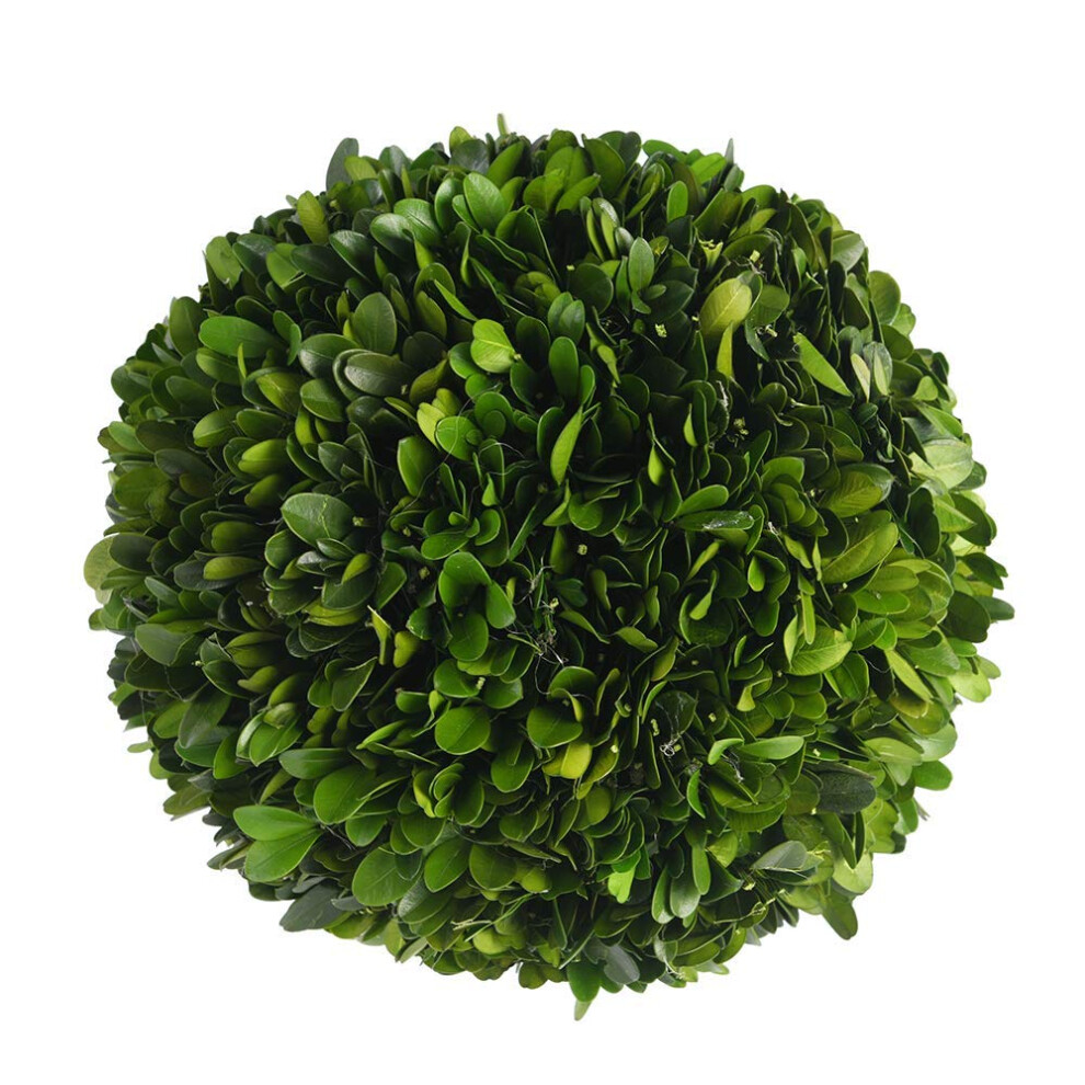 Boule de buis topiaire de BoxwoodWorld 5"" Plante topiaire de buis préservée Décoration de mariage Boule de plante d'intérieur Substitut d'arbre