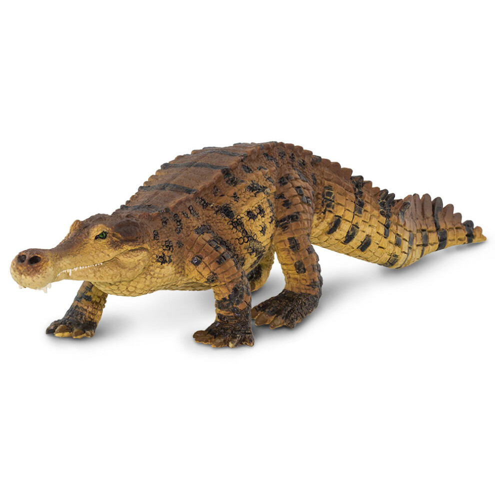 Photos - Action Figures / Transformers Latek Safari 100356 Sarcosuchus Figurine Multi color B0831R8SH7