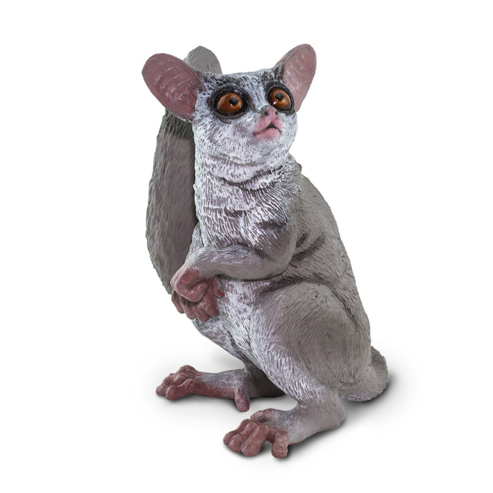 Photos - Creativity Set / Science Kit Safari 100511 Bush Baby Figurine Multi color B0831T69LJ
