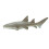 Figurine de Nurse Shark Safari S200629 - Argent 1