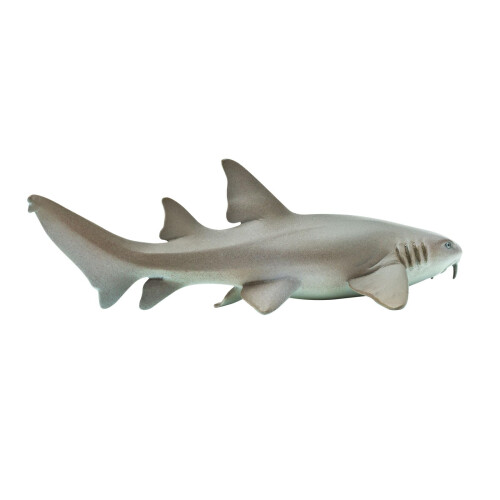 Figurine de Nurse Shark Safari S200629 - Argent 1