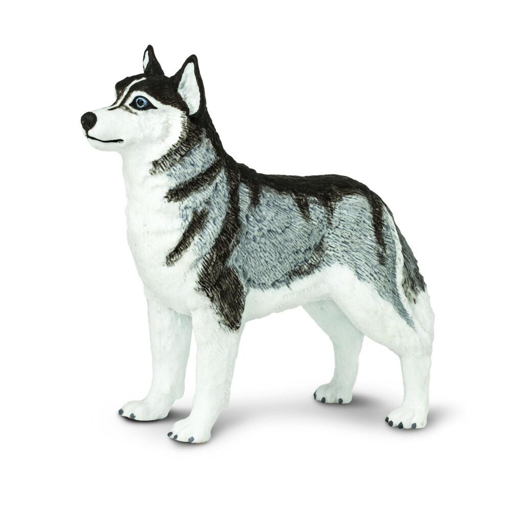 Safari Ltd. Siberian Husky Figurine Detailed 3.25 Plastic Model Figure Fun Educational Play Toy For Boys Girls & Kids Ages 3+