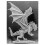 Reaper Bones Dragon Stormwing 1