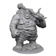 D & D Nolzurs wunderbare, unbemalte Miniaturen | Hgelgigant