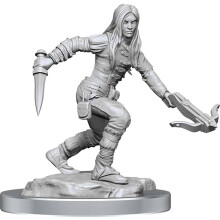 D&D Nolzurs Marvelous Unparted Miniatures | Half-Elf Rogue kvindelig
