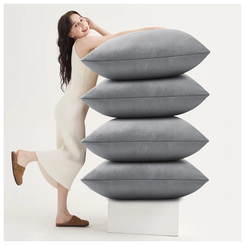Aspire Homeware (Pack Of 4, Plain Velvet Filled Cushion ) Velvet Cushions Luxury Filled Cushion Pad Pack Of 2 & 4 Silver