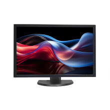 22" Computer Widescreen PC Monitor (1680 x 1050) - VGA - Refurbished