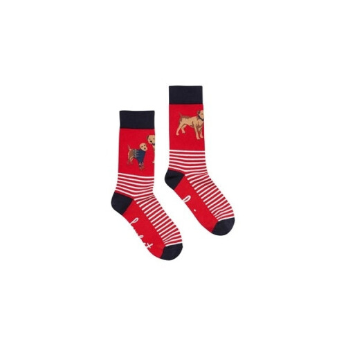 Joules Joules EXCELLENT EVERYDAY SINGLE Womens Socks Red Dog: UK 4-8