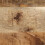 VidaXL (brown) vidaXL Bedside Cabinet 40x35x40 cm Solid Rough Wood Mango bedside table 11