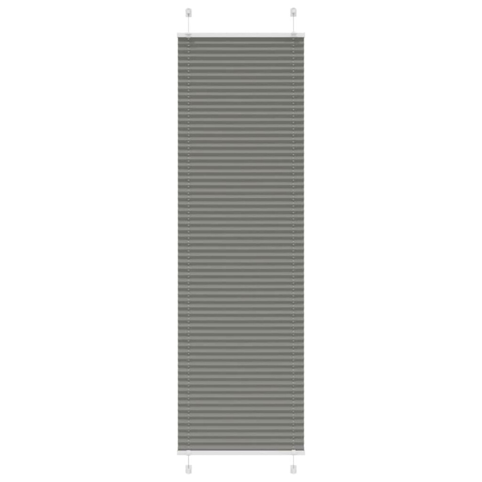 Vidaxl (Anthracite, 65 X 200 Cm) Pleated Blind Anthracite 60X100 Cm Fabric Width 59.4 Cm Polyester
