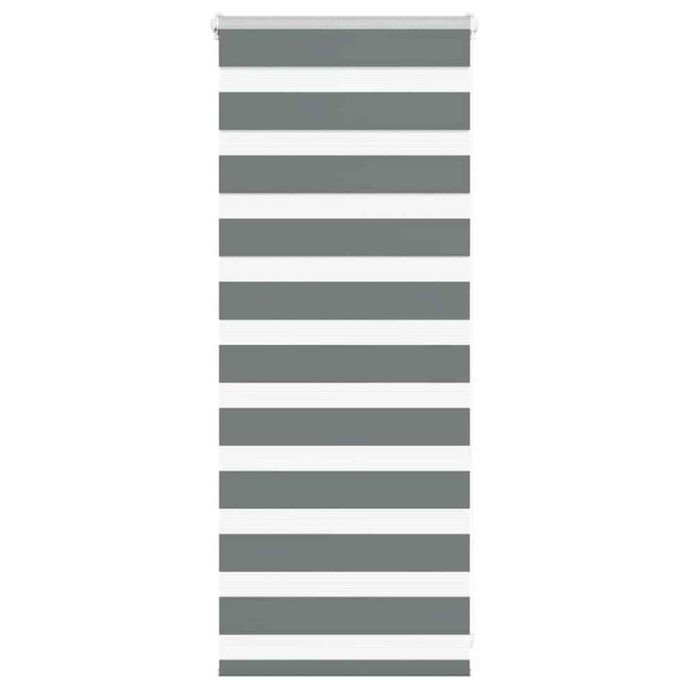 Vidaxl ( 55 X 100 Cm) Zebra Blind 45X230 Cm Fabric Width 40.9 Cm Polyester Dark/Grey