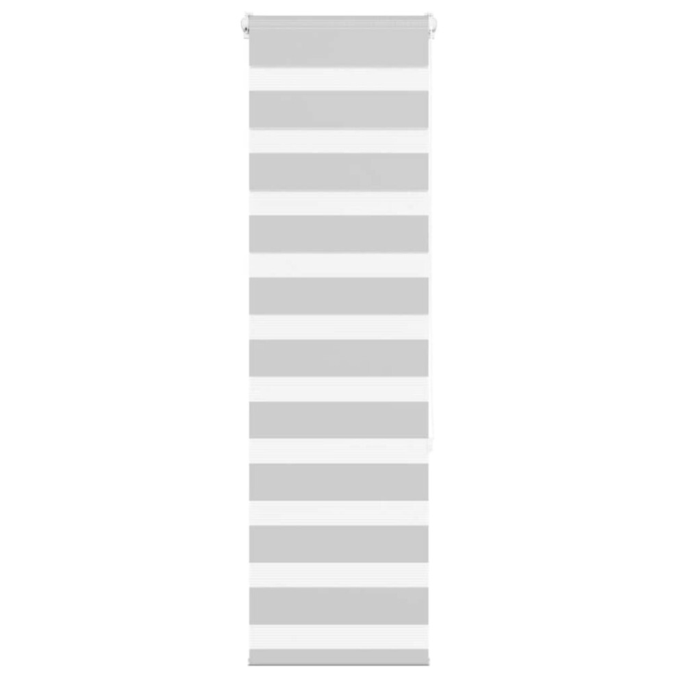 Vidaxl (Light Grey, 40 X 150 Cm) Zebra Blind Dark Grey 45X230 Cm Fabric Width 40.9 Cm Polyester