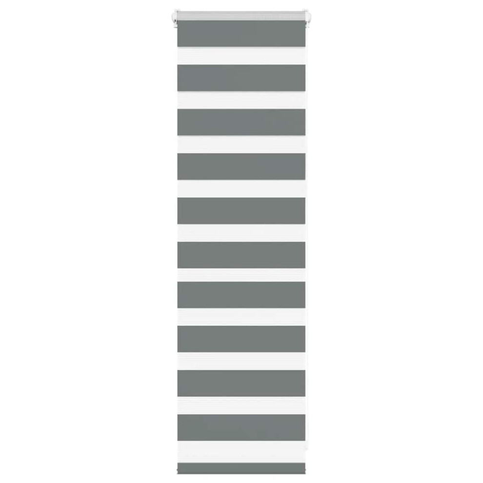 Vidaxl ( 40 X 100 Cm) Zebra Blind 45X230 Cm Fabric Width 40.9 Cm Polyester Dark/Grey