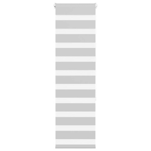 VidaXL vidaXL Doppelrollo Hellgrau 50x150 cm Stoffbreite 45,9 cm Polyester