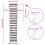 VidaXL vidaXL Doppelrollo Weiß 40x200 cm Stoffbreite 35,9 cm Polyester 4