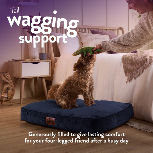 Slumberdown (Blue, Medium) Paws for Slumber Padded Pet Bed UK Made 2
