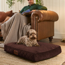(Chocolate Brown, Medium) Paws for Slumber Padded Pet Bed UK Made