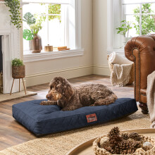 (Blue, Large) Paws for Slumber Padded Pet Bed UK Made
