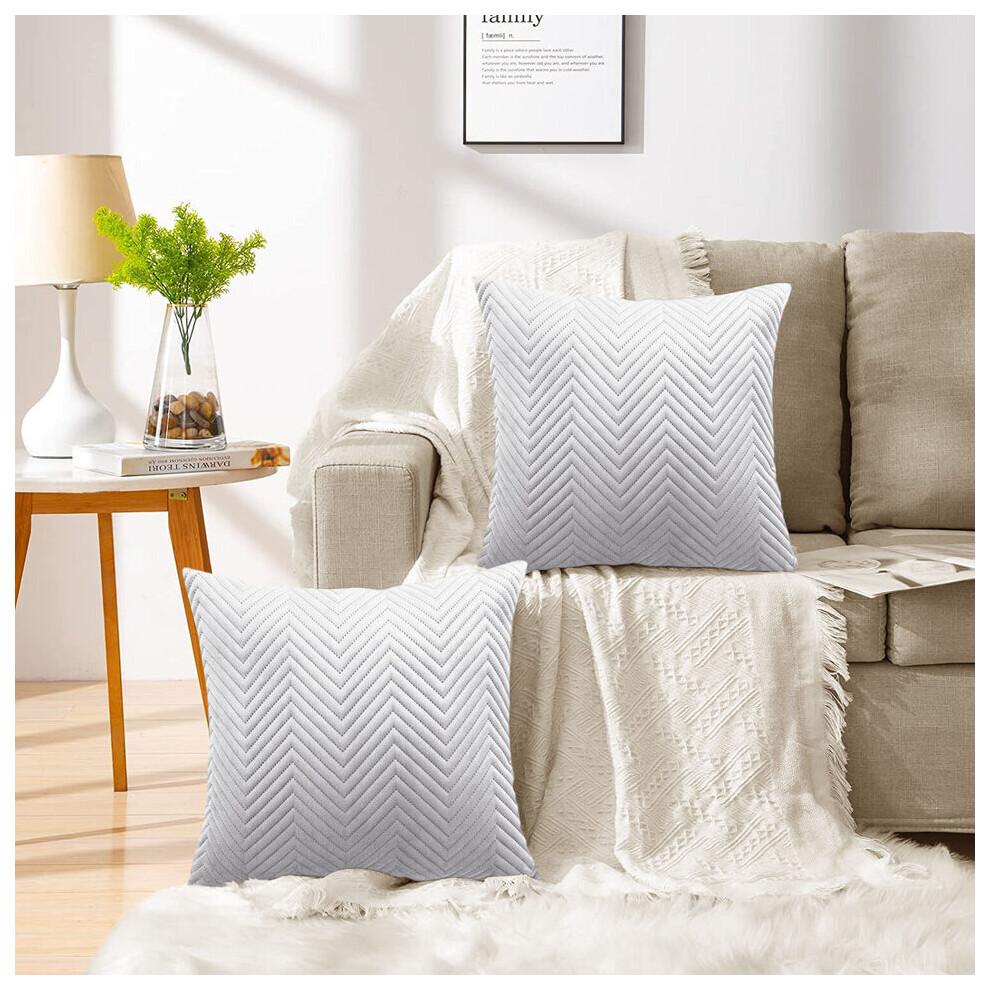 Imperial Rooms (Pack Of 2, Embossed Velvet Filled Cushion Silver) Velvet Cushions Filled 2 & 4-Pack Quilted Cushion Pads