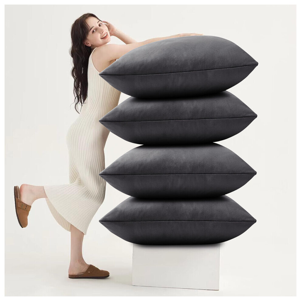 Imperial Rooms (Pack Of 4, Plain Velvet Filled Cushion Charcoal) Velvet Cushions Filled 2 & 4-Pack Quilted Cushion Pads