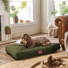 (Green, Large) Paws for Slumber Padded Pet Bed UK Made