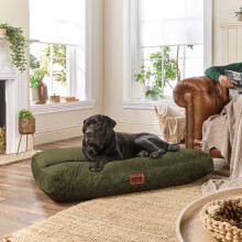 (Green, Extra Large) Paws for Slumber Padded Pet Bed UK Made