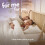 Slumberdown (Medium, 2 Pack) Slumberdown Duck Feather Pillow  UK Made 6