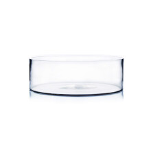 Vase Cylindrique WGV, Largeur Ouverte 30,5 cm, Hauteur 10,2 cm, Conteneur Plat Transparent, Centre de Table Floral