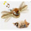 Electronic Interactive Flying Bird Cat Toy Hanging Pet Flapping Wings Sparrow 1