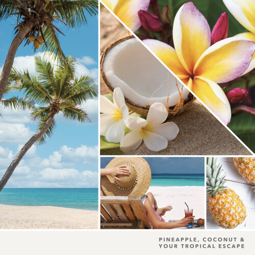 Yankee Candle Yankee Candle Coconut Beach Signature Medium Pilaarkaars Wit 14,25oz 2