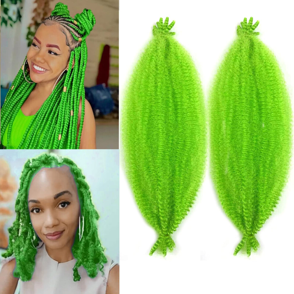 Paraglame Unisex Green Marley Hair 16 Inch Springy Afro Twist Hair 2 Packs Marley Twist Braiding Hair For Faux Locs Crochet Hair Braiding Hair Extensions For