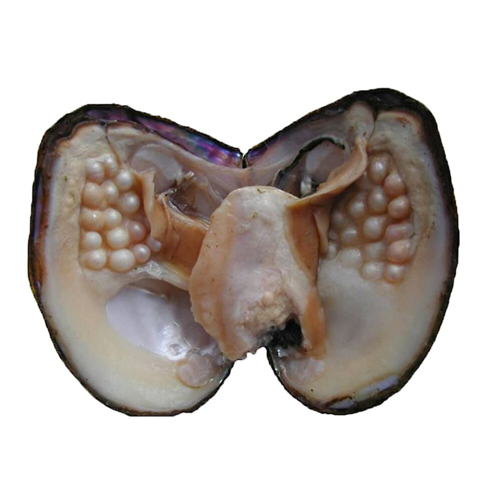 Heasea Oyster Pearls Monster Oysters With Pearls Inside 5-8Mm 25 Pcs Culture