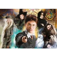500 brikkers puslespil. Kompakt. Harry Potter 355341