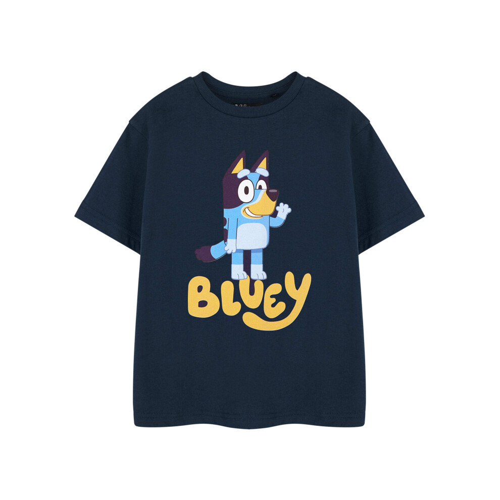 (5-6 Years) Bluey Short Sleeved T-Shirt (Unisex Kids Blue)